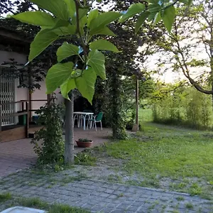 Rose Canine Cesenatico